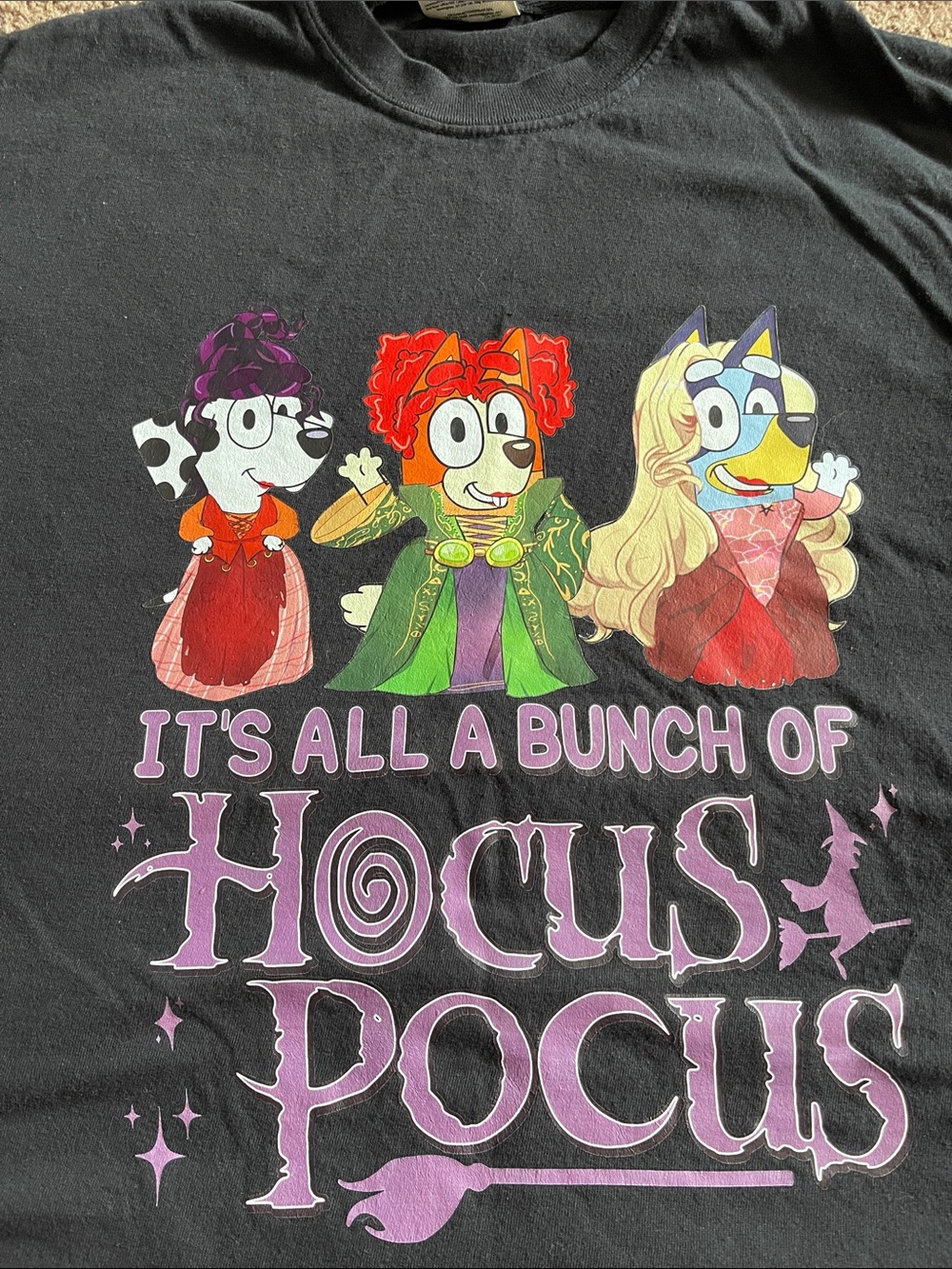 Adult Bluey Hocus Pocus Tee size Medium
